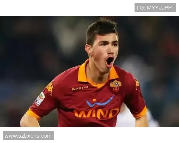 韩国足球明星的血腥传奇背后隐藏的故事与争议